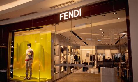 fendi dynasty|who is fendi owned by.